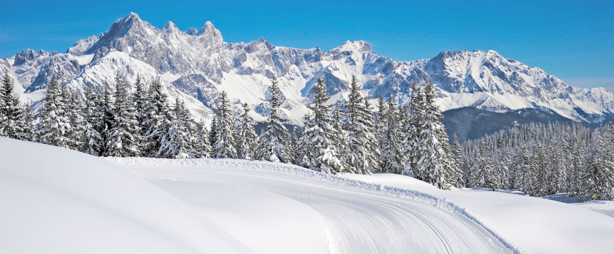 Gespurte Langlaufloipe am Rossbrand mit Dachsteinpanorama in Filzmoos