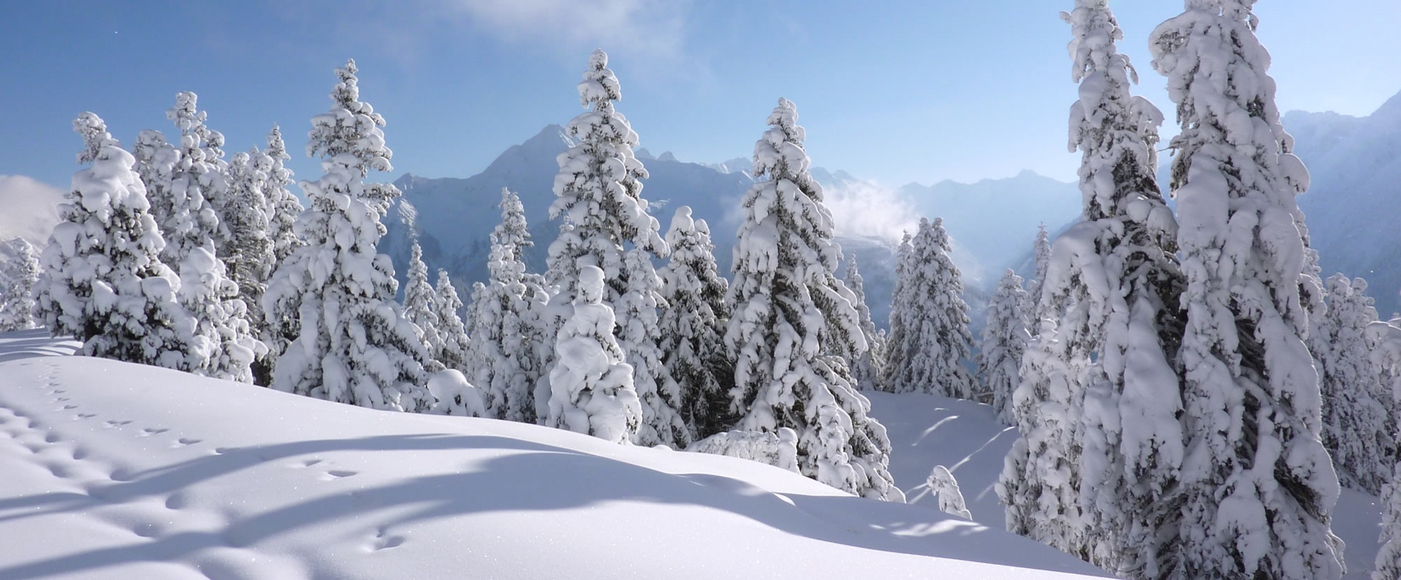 Tief verschneite Winterlandschaft