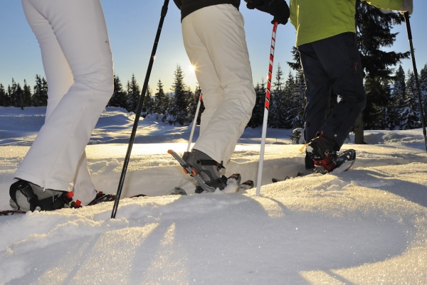 Schneeschuhwanderung am Rossbrand in Filzmoos mit Gosaukamm und Dachstein im Hintergrund © TVB Filzmoos / Sepp Mallaun